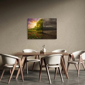 Obraz na szkle - Cykl życia (70x50 cm)