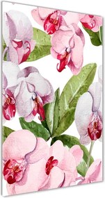 Foto-obraz szkło hartowane pionowy Orchidea