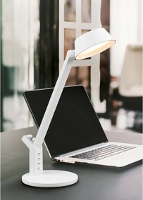 Lampa stołowa LED ze ściemniaczem w matowym białym kolorze (wysokość 40 cm) Ava – Trio