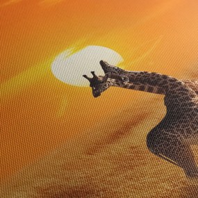 Obraz - Żyrafy w Parku Narodowym Serengeti (125x70 cm)