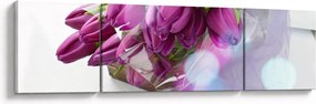Obraz - bukiet tulipanów (170x50 cm)