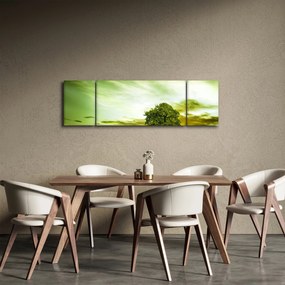 Obraz - Drzewo życia (170x50 cm)
