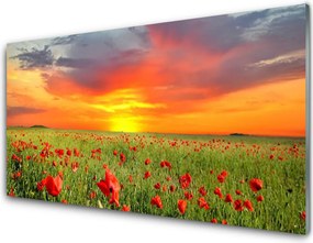 Panel Szklany Maki w Blasku Słońca