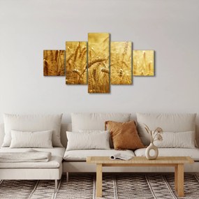 Obraz - Kłosy zboża (125x70 cm)