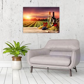 Obraz winnicy z winem (70x50 cm)