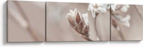 Obraz - Szczegół gałęzi (170x50 cm)