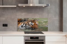 Panel szklany do Kuchni Władca Dżungli w Gęstwinie