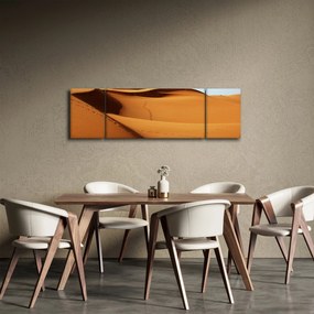 Obraz - Ślady na pustyni (170x50 cm)