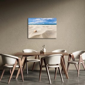 Obraz - Muszle na plaży (70x50 cm)