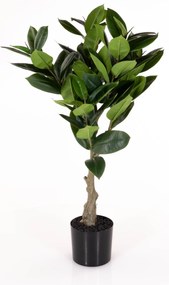 Sztuczna roślina drzewko kauczukowe, 69 cm
