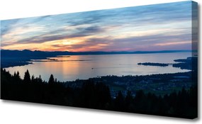 Duży obraz na płótnie Taniec Nasion Dmuchawca na Wietrze