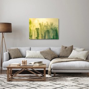 Obraz na szkle - Szczegół wiosennej mglistej przyrody (70x50 cm)