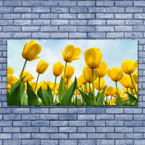 Obraz canvas Pole Tęczowych Tulipanów