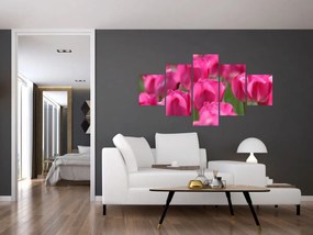 Obraz - Różowe tulipany (125x70 cm)