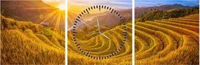 Obraz - Pole ryżowe w Wietnamie (z zegarem) (90x30 cm)