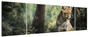 Obraz lisa (170x50 cm)