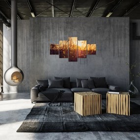 Obraz pola o zachodzie słońca (125x70 cm)