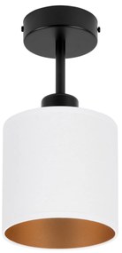 Lampa sufitowa czarna jednopunktowy spot z białym abażurem C-1010SC-WE