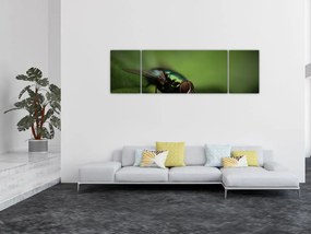 Obraz - Mucha (170x50 cm)