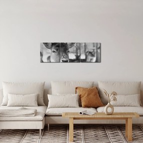 Obraz - Jelonki, czarno - biały (z zegarem) (90x30 cm)