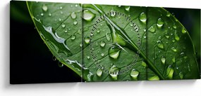 Obraz - Liść po deszczu (z zegarem) (90x30 cm)