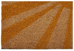 Wycieraczka z naturalnego włókna kokosowego Premier Housewares Hi, 40x60 cm