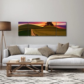 Obraz pola i kolorowego nieba (170x50 cm)