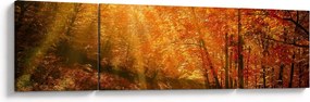 Obraz jesiennego lasu (170x50 cm)