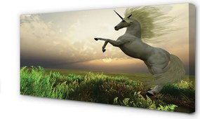 Obraz drukowany na płótnie Jednorożec na Polu