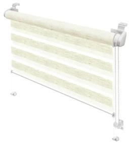 Roleta dzień i noc w naturalnym kolorze 97x150 cm Zebra Silvalin – Gardinia