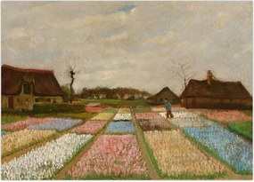 Obraz - Vincent van Gogh, Flower Beds in Holland, reprodukcje (70x50 cm)