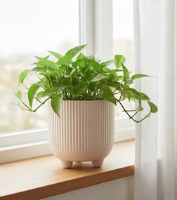 Doniczka Osłonka Beż 15 cm z Ceramiki na Trzech Nóżkach Designerska Donica