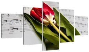 Obraz czerwonego tulipana (125x70 cm)