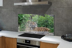 Szklany Panel Tygrys w Sercu Lasu