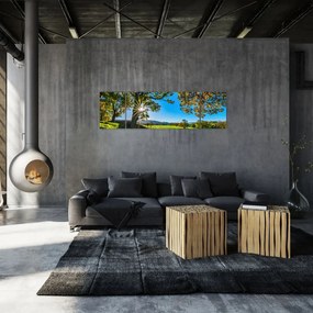 Obraz - widok pola (170x50 cm)