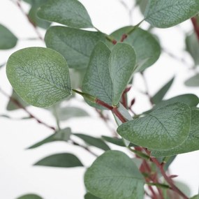 Sztuczny eukaliptus (wysokość 180 cm) Eucalyptus – Ixia