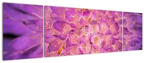 Szczegółowy obraz kwiatu (170x50 cm)