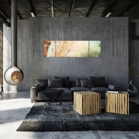 Obraz - Rośliny po deszczu (170x50 cm)