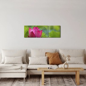 Obraz - roślina wodna (z zegarem) (90x30 cm)