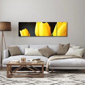 Obraz tulipanów (170x50 cm)
