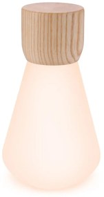 Naturalna lampa stołowa ze ściemniaczem (wys. 13 cm) Pentagon – Gingko