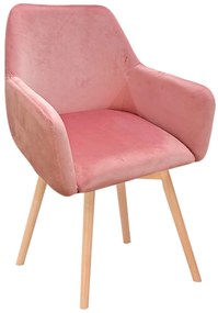 Aksamitne krzeso Bellu