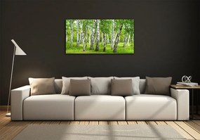 Foto obraz szkło hartowane Brzozowy las