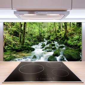 Panel Szklany Szumiący Potok w Gęstwinie Lasu