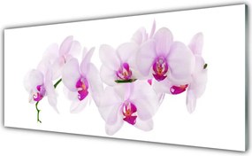 Szkło do Kuchni na Ścianę Pastelowy Ogród Botaniczny