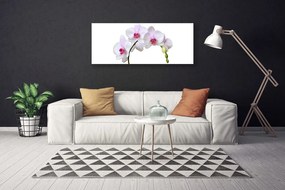 Obraz Canvas Storczyk Orchidea Kwiaty