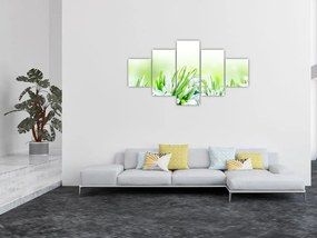 Obraz - Przebiśniegi (125x70 cm)
