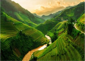 Obraz na szkle - Tarasy ryżowe Mu Cang Chai (70x50 cm)