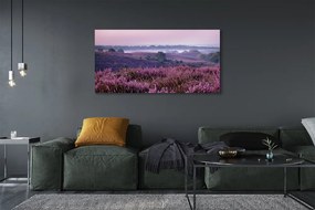 Obraz drukowany na płótnie Pole Wrzosów
