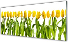 Szkło do Kuchni na Ścianę Tęczowy Dywan Tulipanów